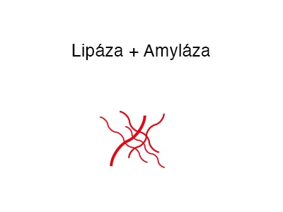 wobenzym_lipáza_amyláza